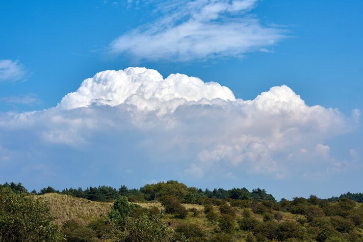 branches-trees-against-cloudy-sky_210726-1066